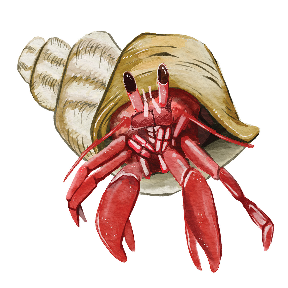 Love It Like A Local Love It Like A Local