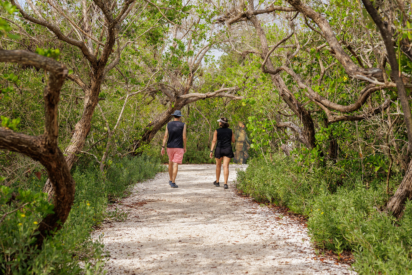 Well Preserved Well Preserved