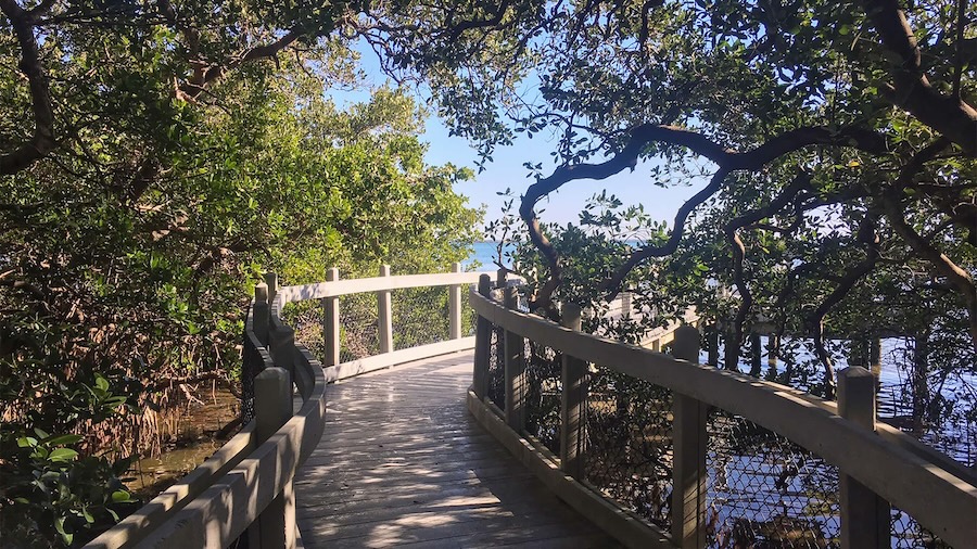 5 Reasons to Visit Longboat Key a wooden walkway with railings and trees