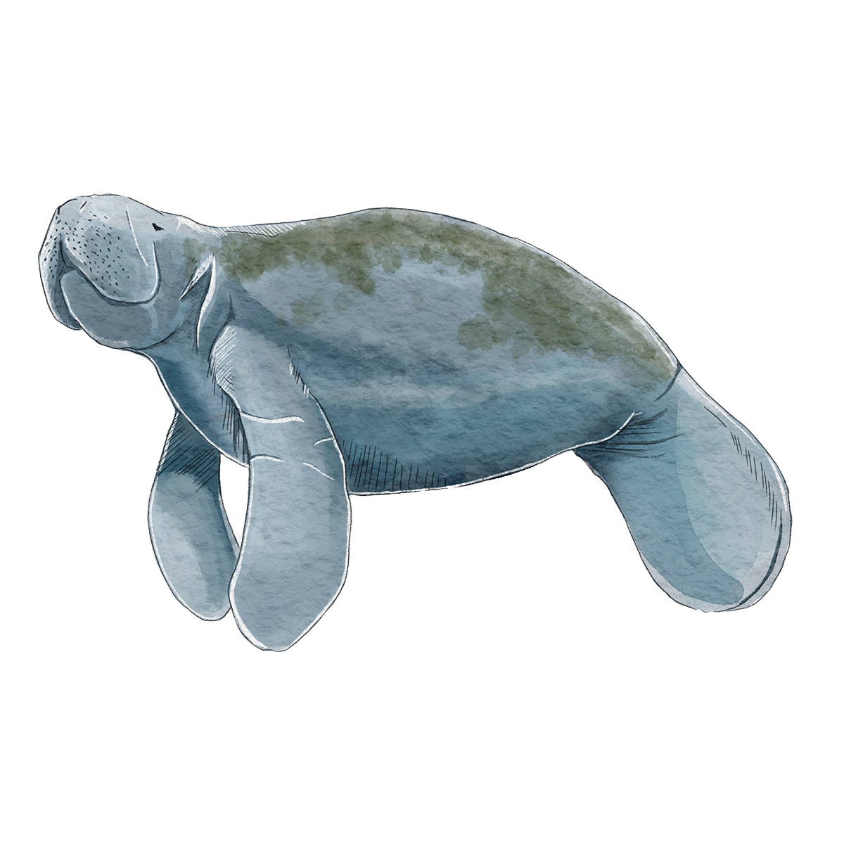 Love It Like A Local Love It Like A Local