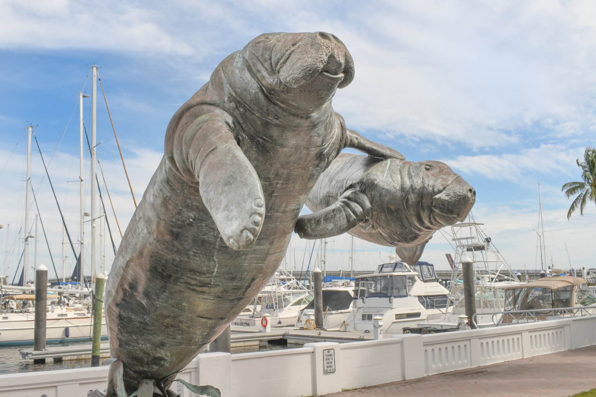 Where to see public art a statue of manatee and baby manatee in front of a marina