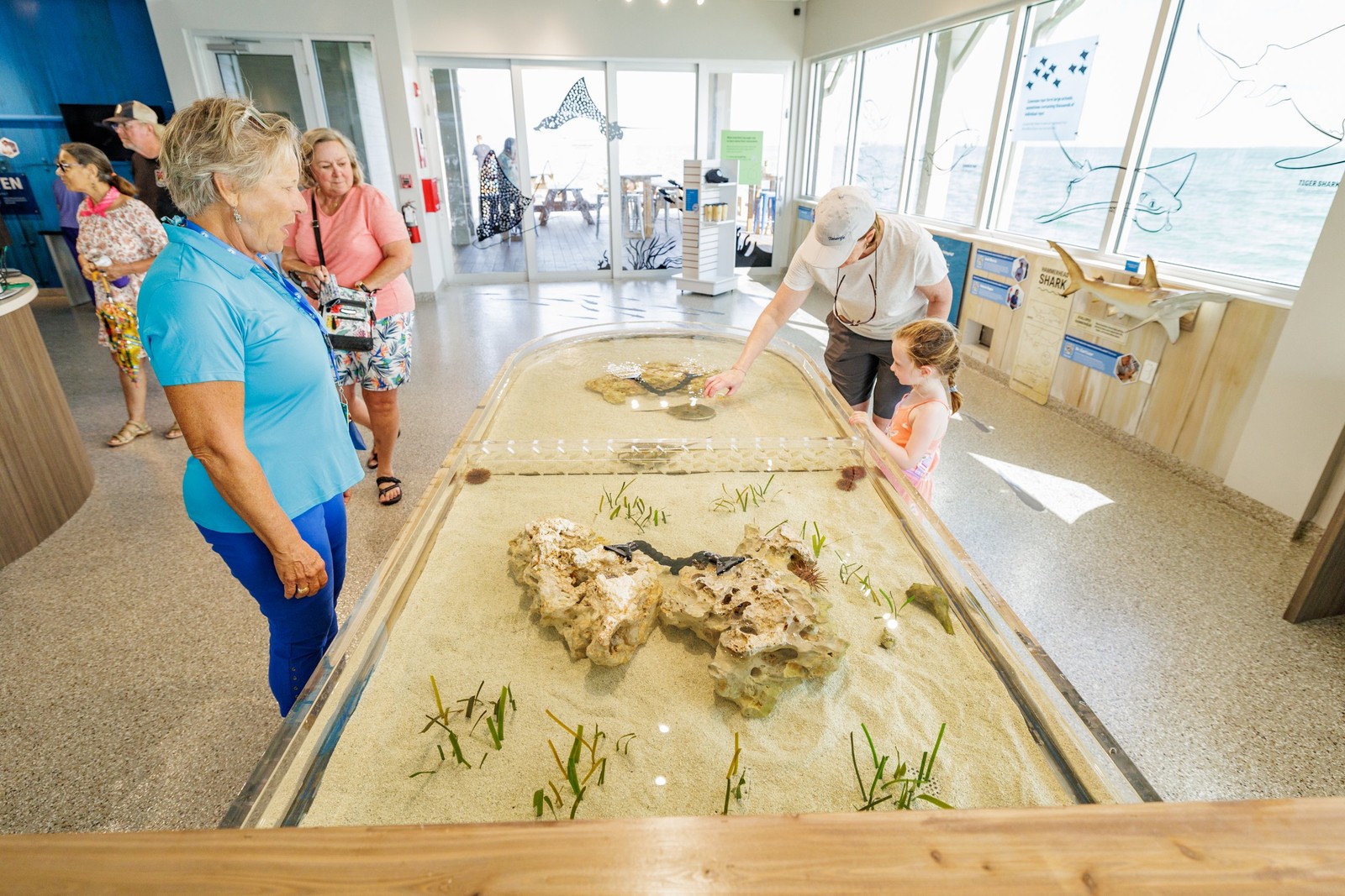Explore the Gulf Island Ferry Stops a family interacting with a hermit crab touch tank at Mote Marine