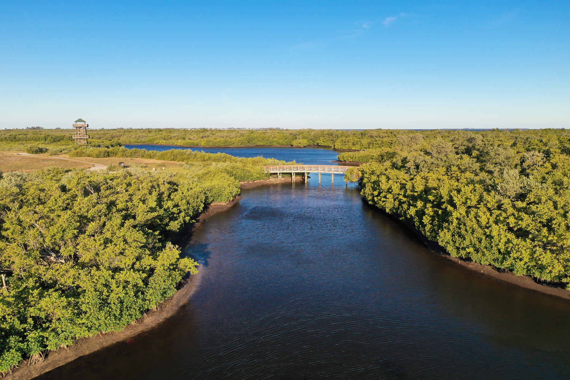 Explore Pine Avenue on Anna Maria Island Explore Pine Avenue on Anna Maria Island