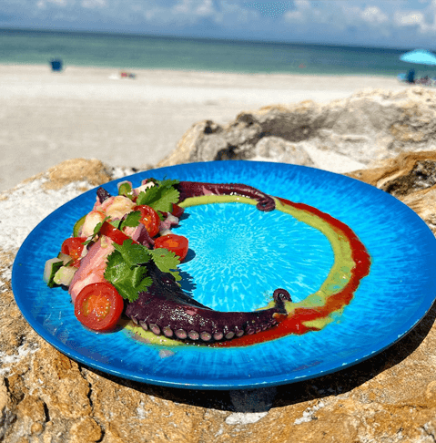 Beachside Bites: Top Toes-in-the-Sand Dining Destinations on Anna Maria Island octopus dish at Beach House Waterfront Restaurant