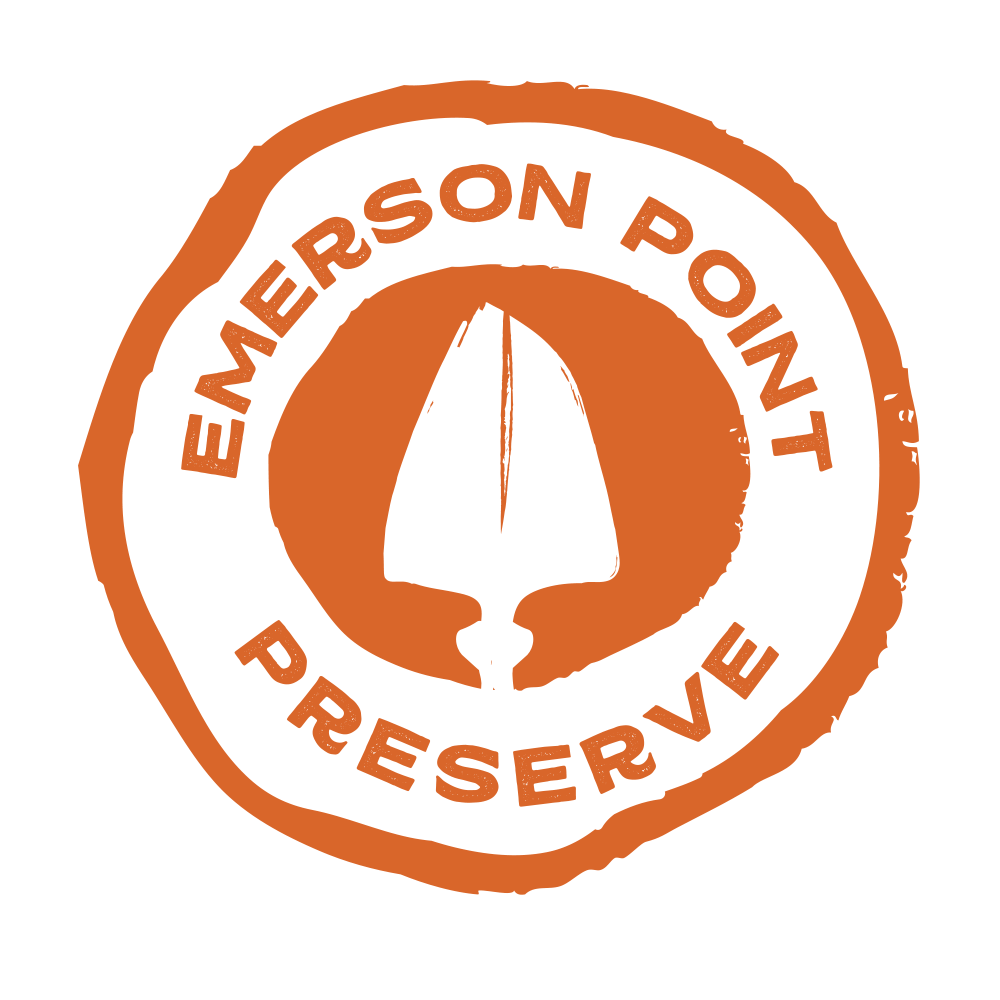 Well Preserved Well Preserved