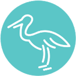 Love It Like A Local Love It Like A Local