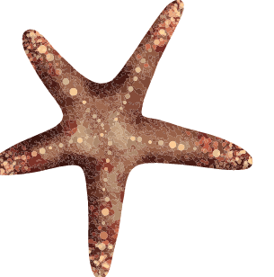 Gulf Islands Ferry Gulf Islands Ferry