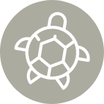 Love It Like A Local Love It Like A Local