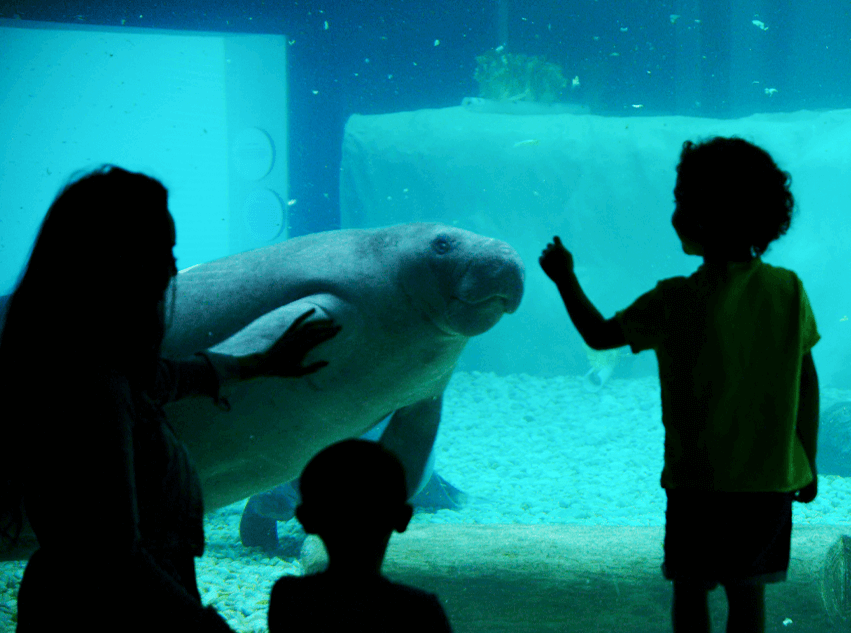 Trip Inspiration Trip Inspiration